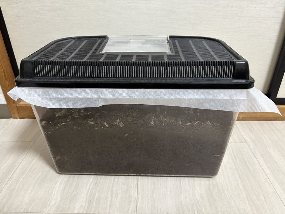 カブトムシやクワガタの飼育ケース